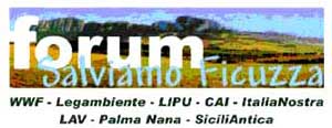 ficuzza.jpg