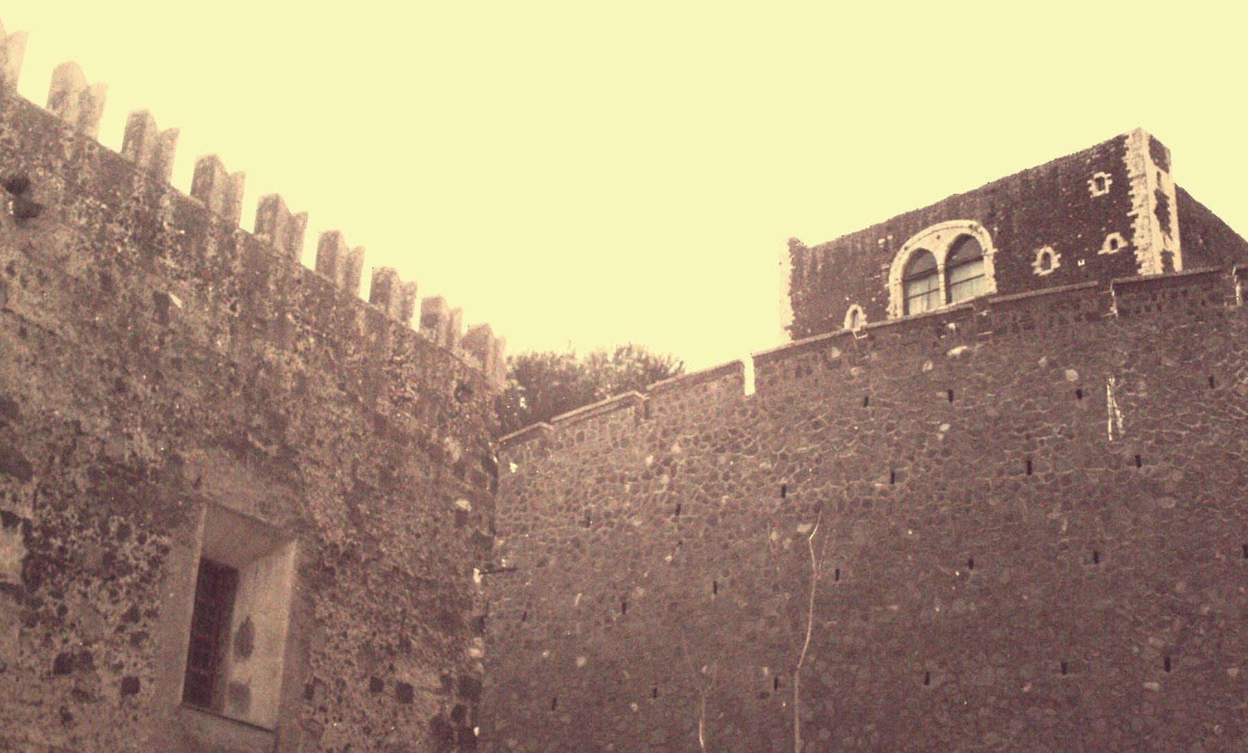 grangiantica.jpg